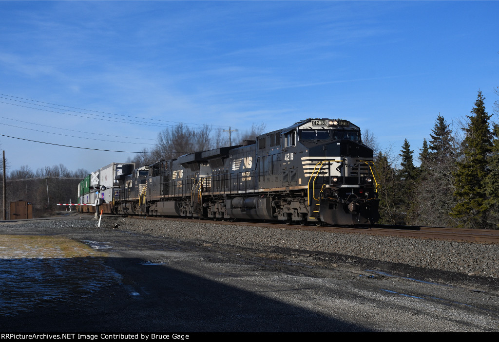 NS 4218